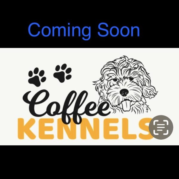 Coffee Kennels coming soon